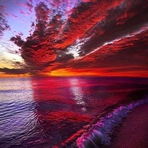 Meet your Posher, Rezene